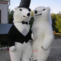 Весільна церемонія у Киеві