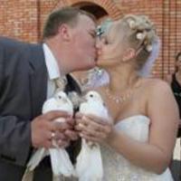 Star-wedding - Весільні голуби