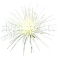 SLdecor -  цветы искусственные