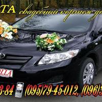Свадебный кортеж "Toyota Corolla" - (Сумы)
