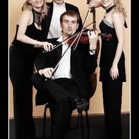 Олександр Божик - скрипаль-віртуоз
