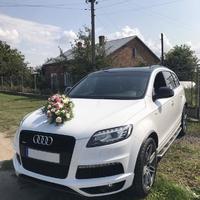 Прокат Audi Q7 s-line plus