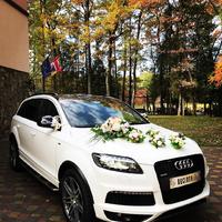 Прокат Audi Q7 s-line plus