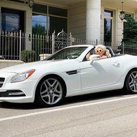 021Кабріолет Mercedes SLK 250 оренда про