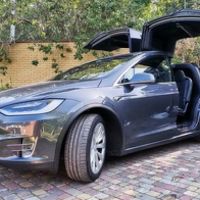 075 Tesla Model X сіра електричний