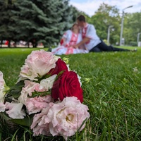 Видеостудия "ТДВ"