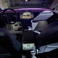 305 Авто на весілля Tesla Model 3 cіра з
