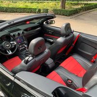 427 Прокат кабриолет Ford Mustang GT 5.0