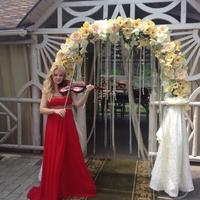 Скрипка на свадьбу заказать киев