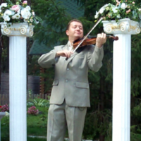 Скрипаль на весілля