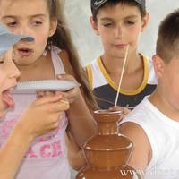 Шоколадный фонтан на детский и взрослый праздник