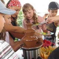 Шоколадный фонтан на детский и взрослый праздник