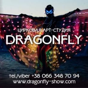 Шоу Dragonfly