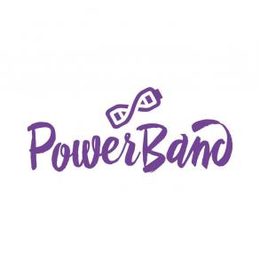 Музичний гурт POWER BAND