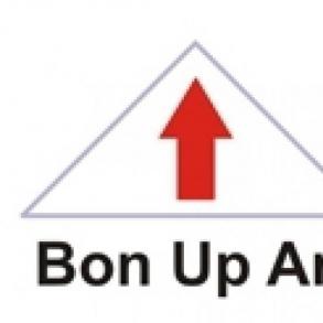 BonUpArt