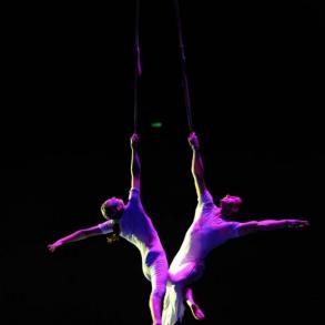 Duo Gregori (воздушные гимнасты)