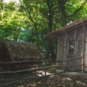 Весільні сукні на ваше весілля